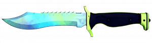 prize item