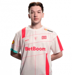 zorte