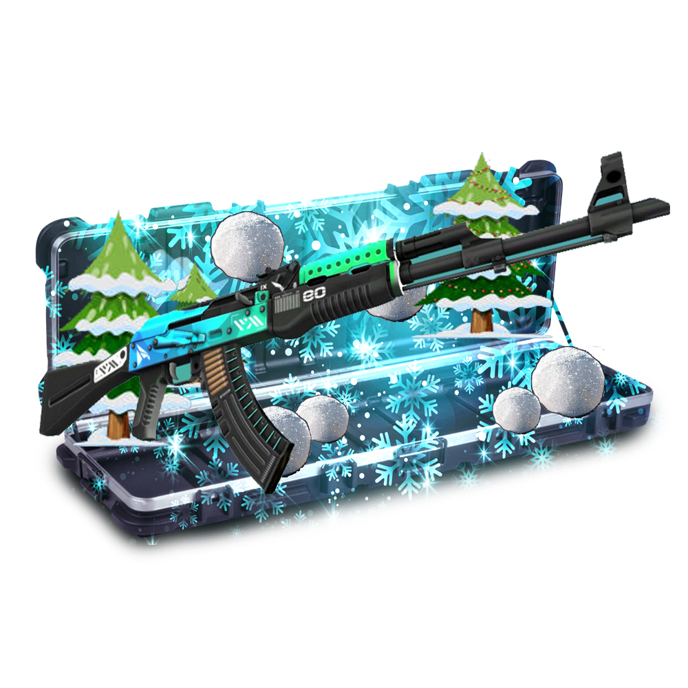 Case
