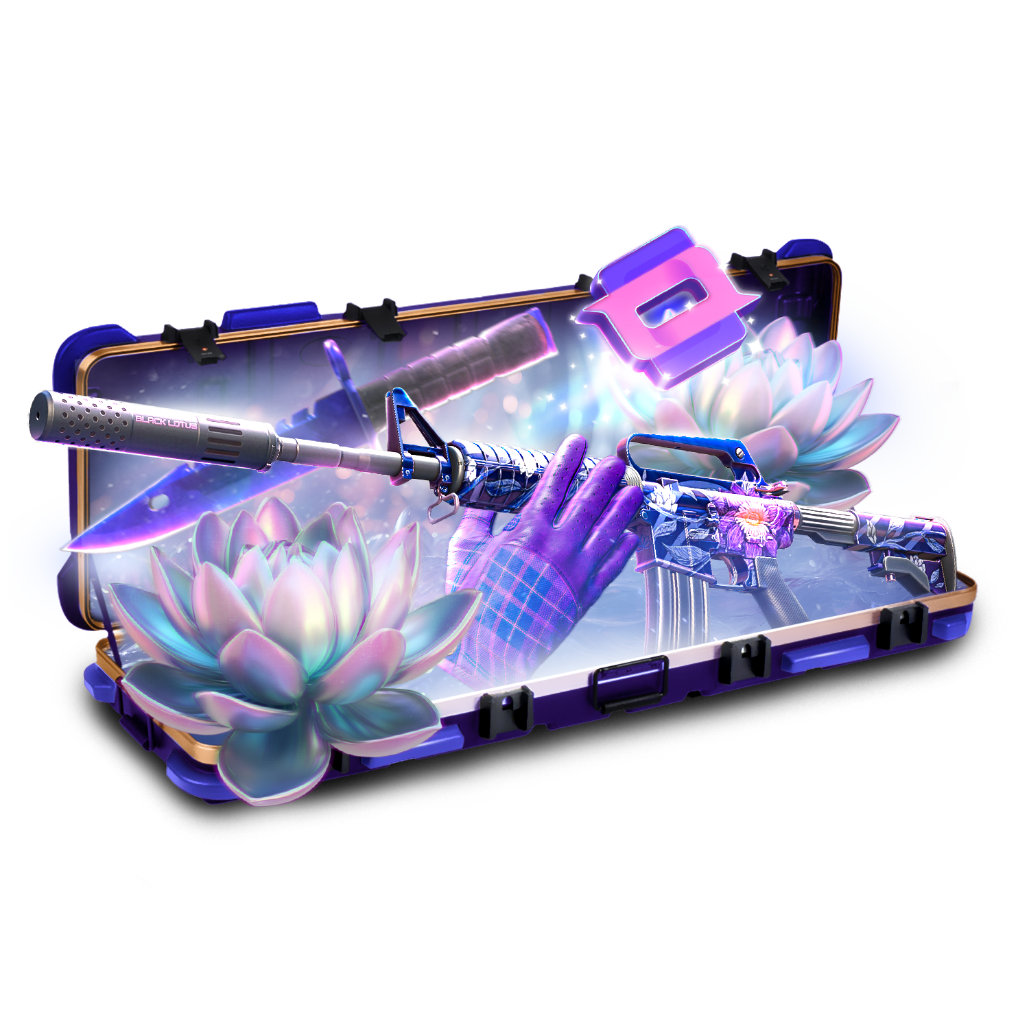 Case