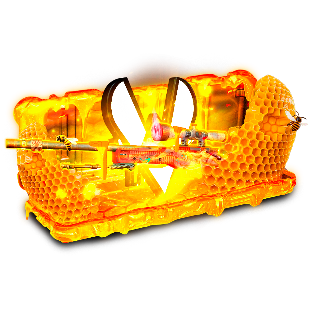 Case