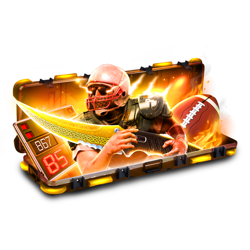 Case