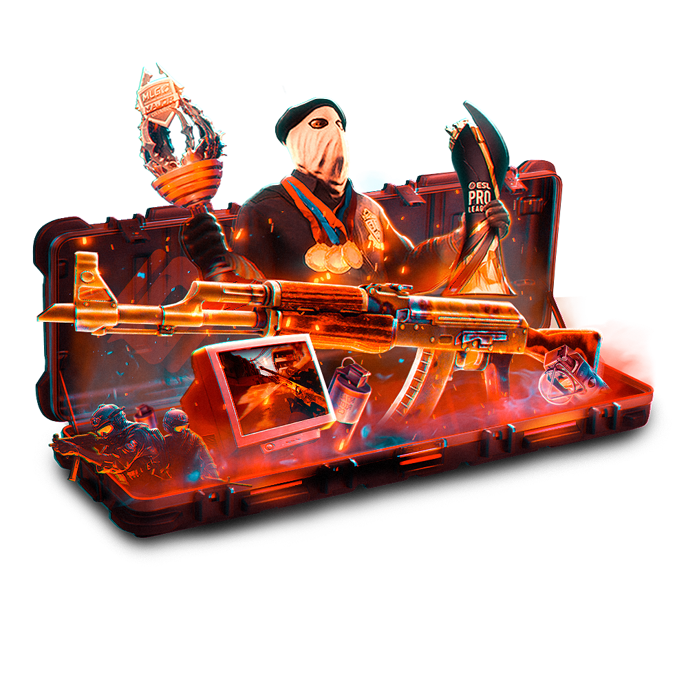 Case