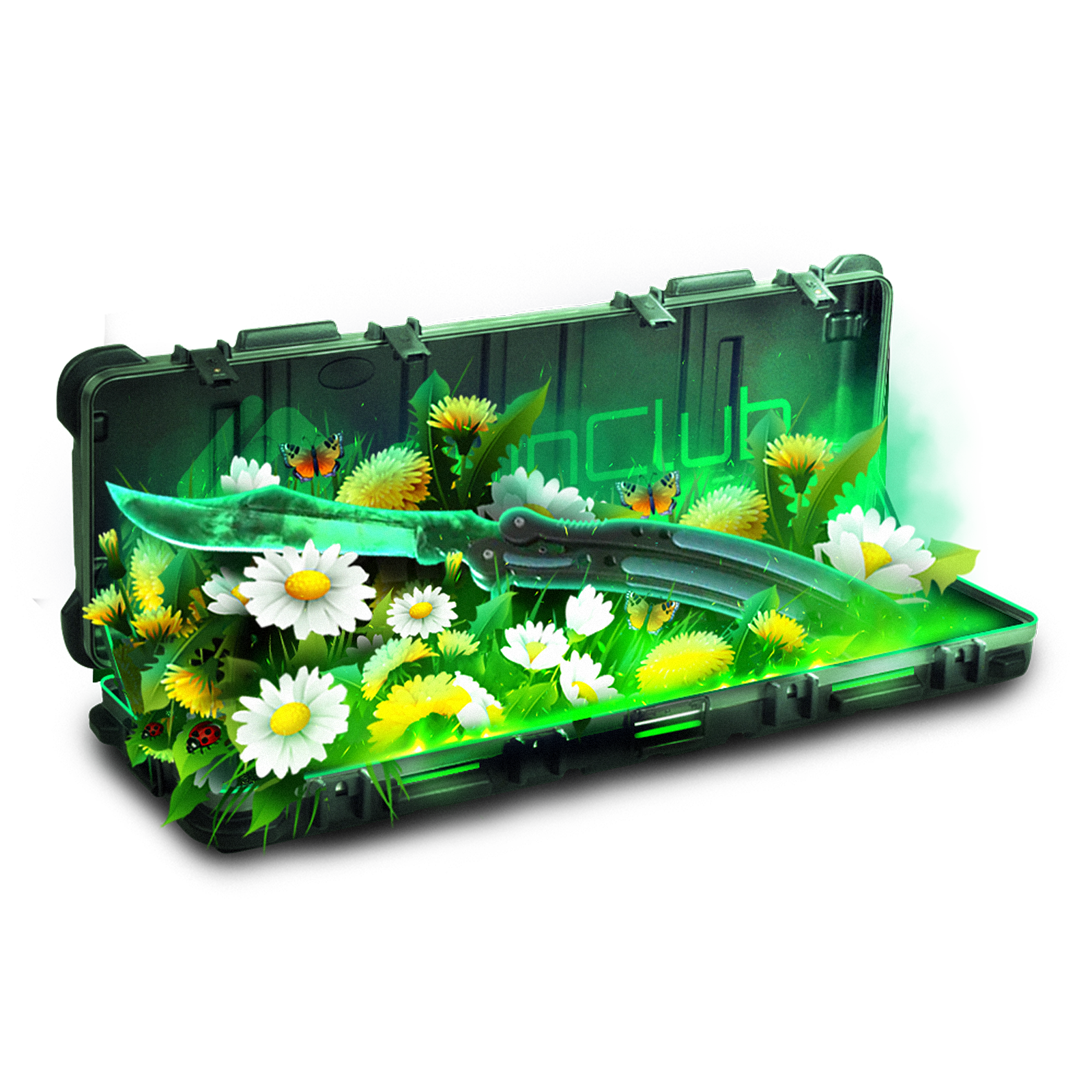 Case