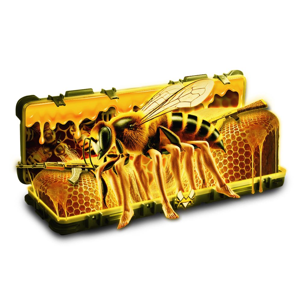 Case