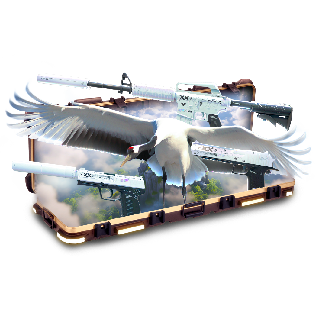 Case