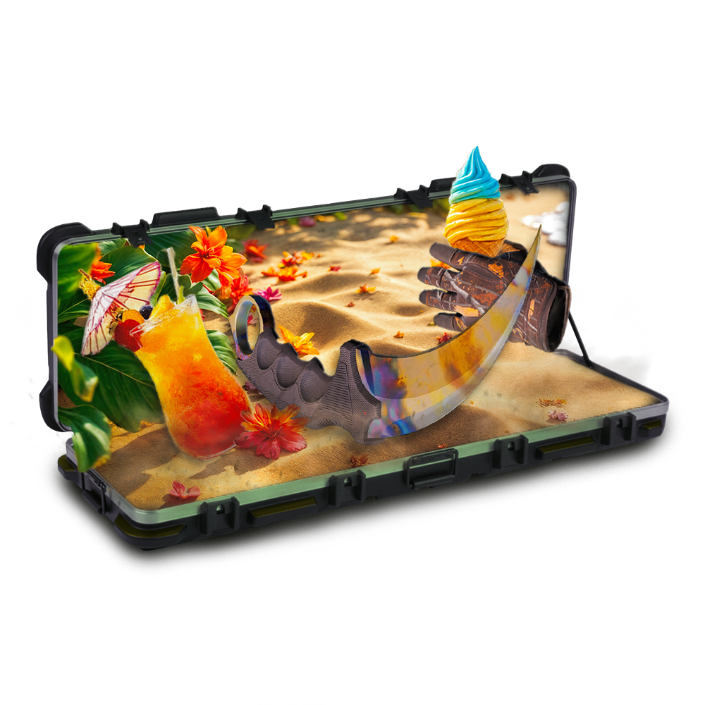Case
