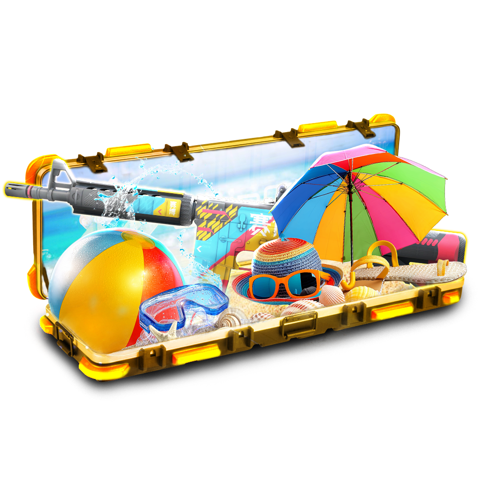 Case
