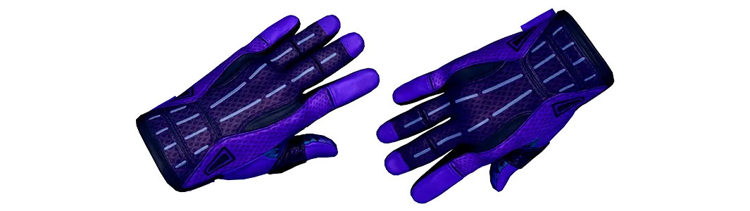 Sport Gloves | Pandora's Box