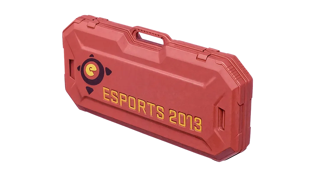 eSports 2013 Case