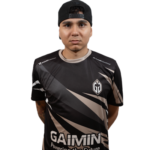 HEN1