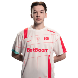 zorte